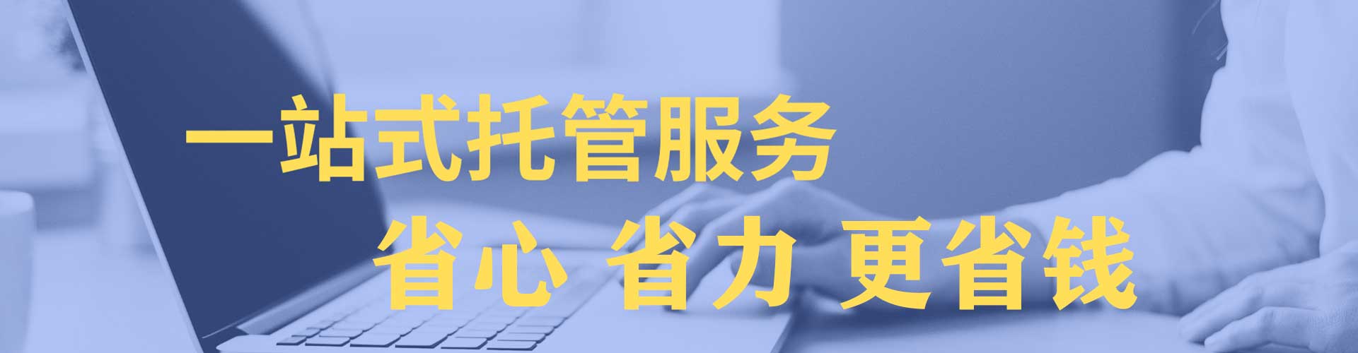 鸡冠sem广告